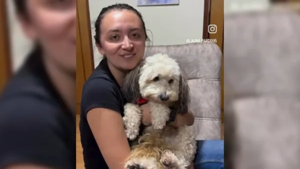 Milo, el perro que fue robado en medio de violento asalto, apareció y está con su familia