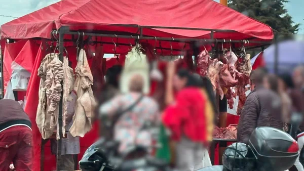 Matadero clandestino sacrificaba animales enfermos para vender su carne en Bogotá