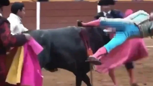 Ciudad de México busca prohibir el maltrato a los toros tras brutal cornada a torero Ciudad de México busca prohibir el maltrato a los toros tras brutal cornada a torero