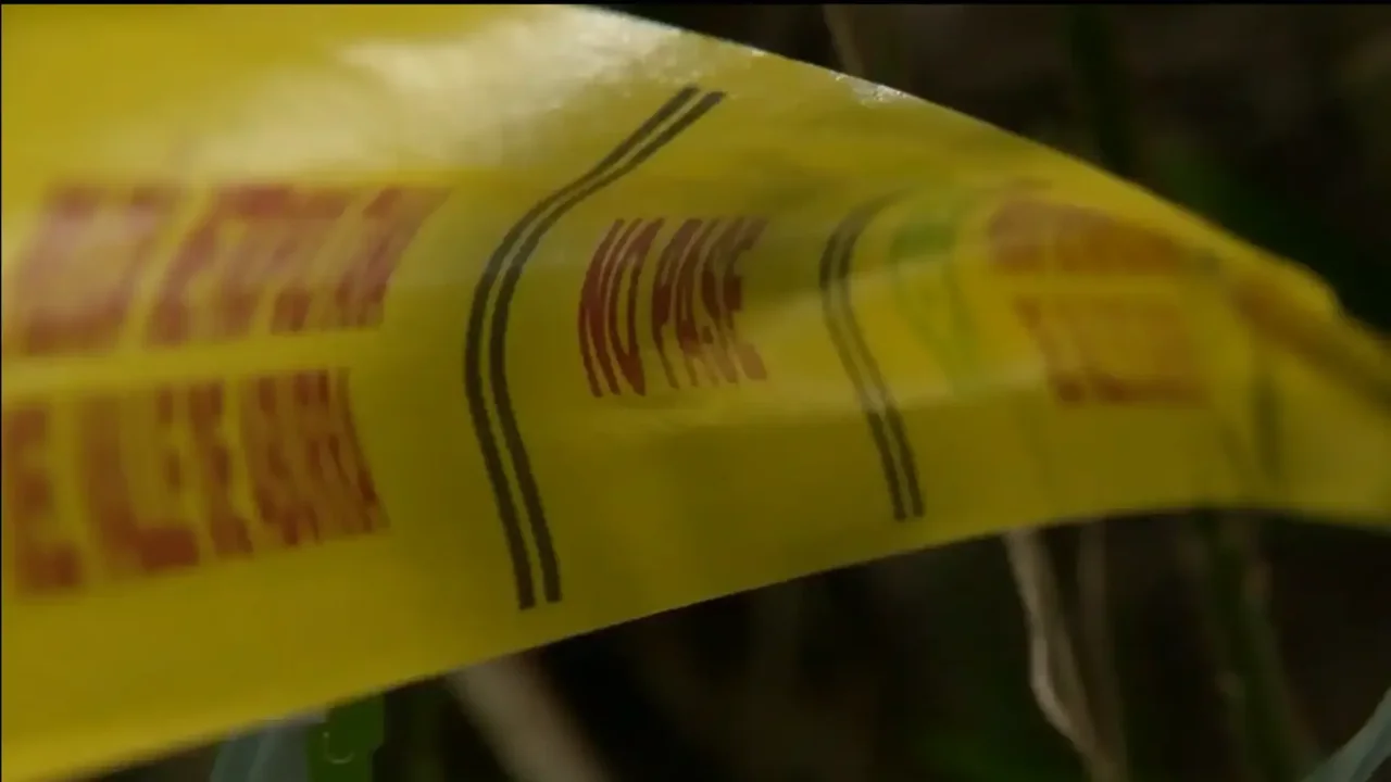 Condenan a 45 años de prisión a hombre que asesinó a su pareja en Cali: se autolesionó tras el crimen