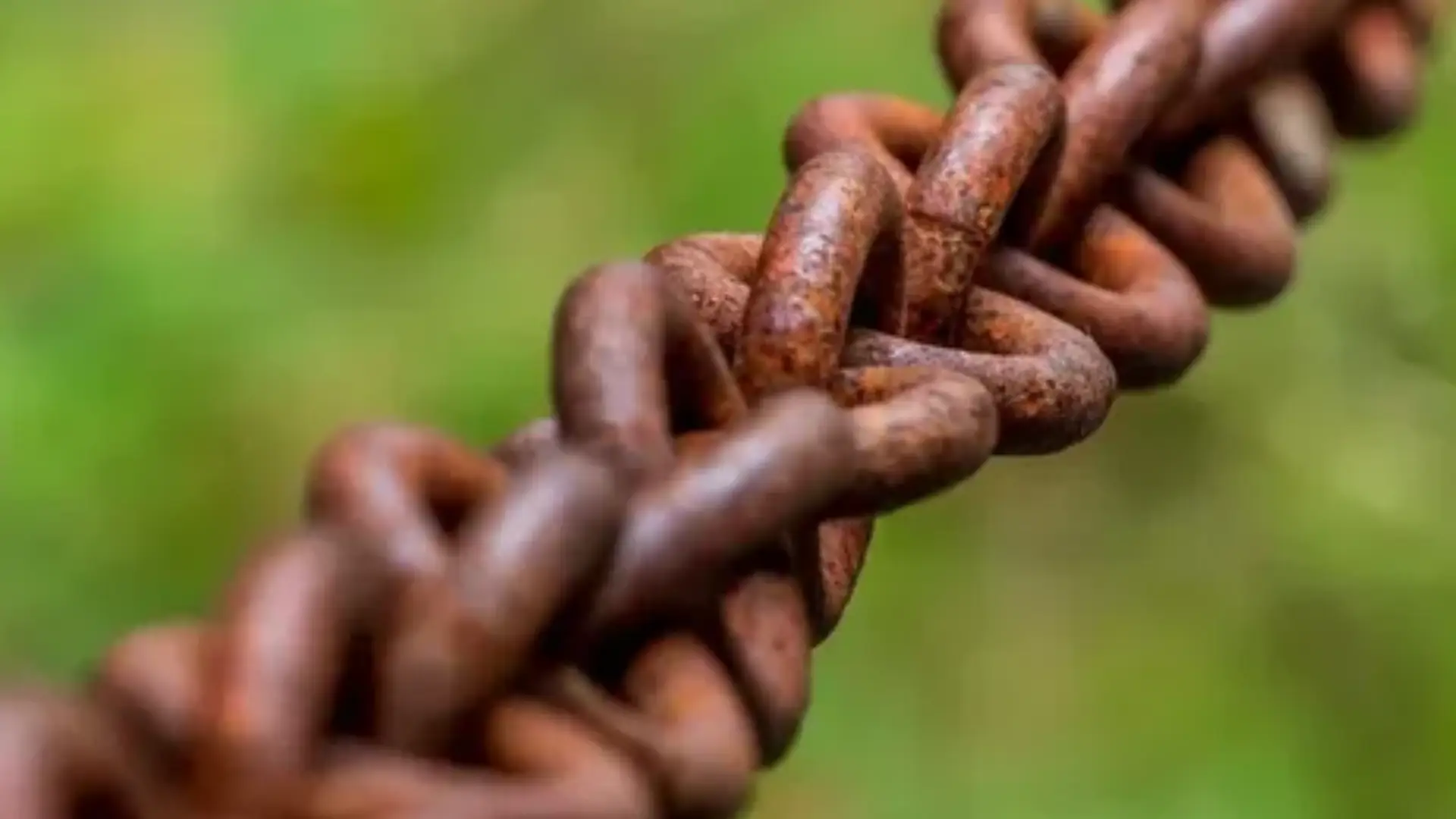 Foto: archivo Noticias RCN