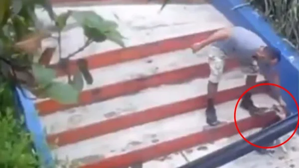 Video | Taxista tiró a perrita envuelta en bolsas de basura con graves lesiones en calle de Bucaramanga