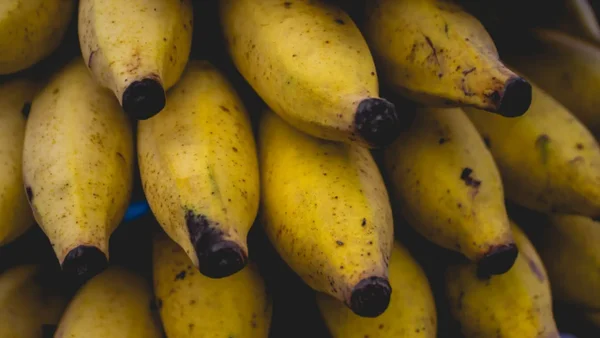 Bananeros colombianos temen por los nuevos aranceles de Trump