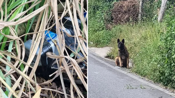 Ejército encontró artefactos explosivos escondidos por el ELN en vía de Nariño