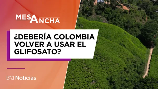 ¿Debería Colombia volver a usar el glifosato para erradicar cultivos de coca? ¿Debería Colombia volver a usar el glifosato para erradicar cultivos de coca?