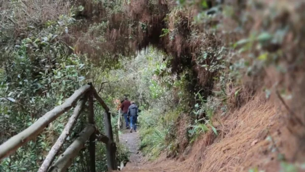 ¿Planea visitar senderos durante Semana Santa? Tenga en cuenta estas recomendaciones