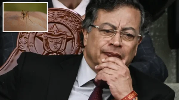 Gustavo Petro decretará emergencia económica en el país por casos de fiebre amarilla