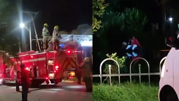 Video: así fue el rescate de dos hombres que cayeron en su vehículo al Lago de la babilla de Cali