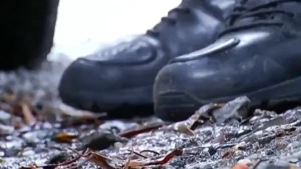 ¿Es real el audio de las disidencias de 'Mordisco' en el que anuncian paro armado en Caquetá?