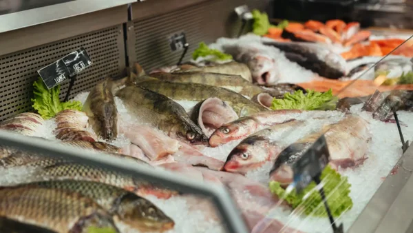 Revelan chatbot que le dice qué pescado comer y cuál evitar en Semana Santa