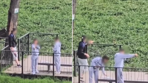 VIDEO | Sorprenden a menores atacando aves con caucheras en el humedal Jaboque en Bogotá