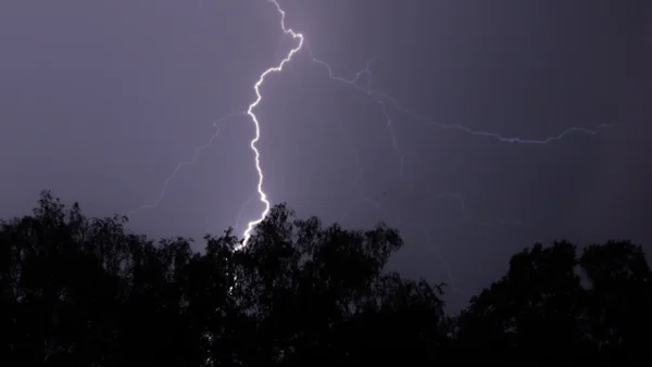 Celular habría causado la trágica muerte de una niña por un rayo cuando escampaba en un árbol