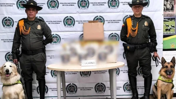 Caninos antidrogas descubrieron cargamento de cocaína en bolsas de café en Aeropuerto El Dorado
