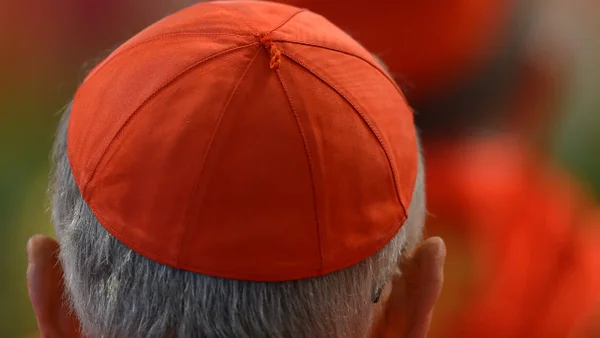 Son 135 los cardenales que elegirán al sucesor del papa Francisco