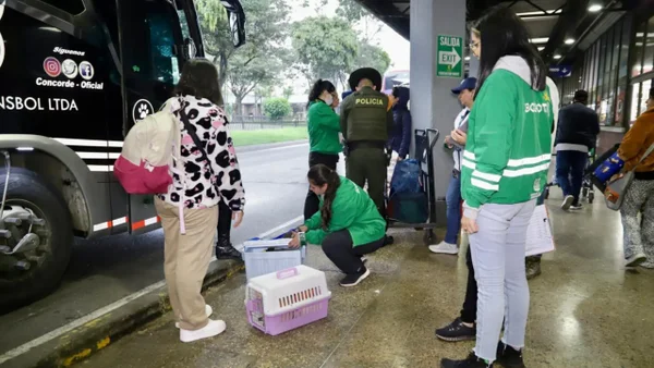 Estos son todos los animales que fueron rescatados del tráfico ilegal en Bogotá durante Semana Santa Estos son todos los animales que fueron rescatados del tráfico ilegal en Bogotá durante Semana Santa