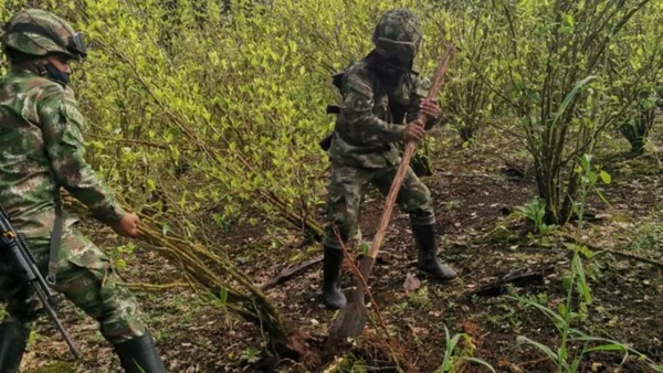 Embajador de EE.UU. en Colombia advierte sobre certificación antidrogas: "Ya no es tiempo para hablar" Embajador de EE.UU. en Colombia advierte sobre certificación antidrogas: "Ya no es tiempo para hablar"