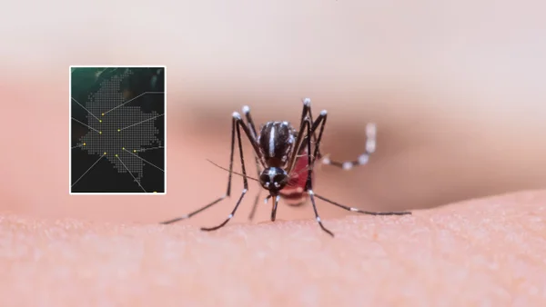 El listado de los municipios que están en muy alto riesgo por el brote de la fiebre amarilla