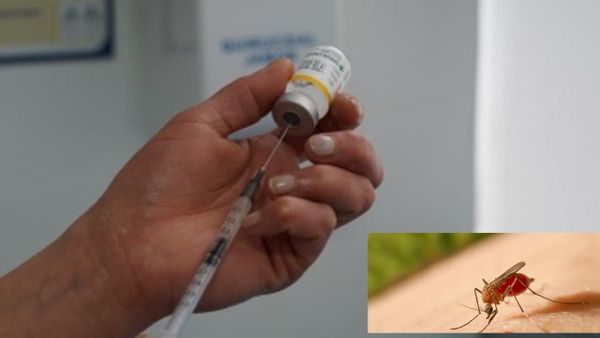 ¿Con cuántos días de anticipación debe aplicarse la vacuna de la fiebre amarilla si va a viajar? ¿Con cuántos días de anticipación debe aplicarse la vacuna de la fiebre amarilla si va a viajar?