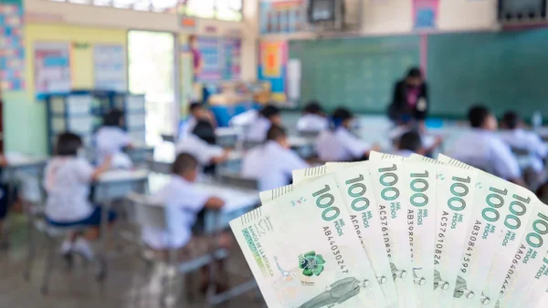 Prima de junio para docentes en 2025: este es el valor que recibirán y cómo calcularla Prima de junio para docentes en 2025: este es el valor que recibirán y cómo calcularla