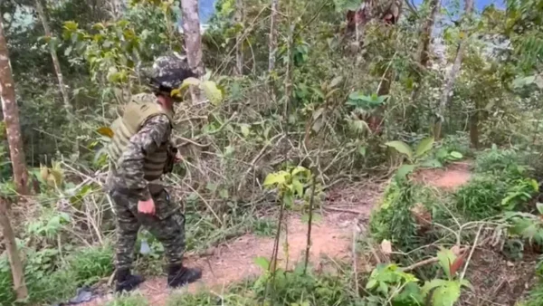Ejército logró destruir 120 minas antipersonales y un cilindro con 40 libras de explosivos en El Plateado, Cauca