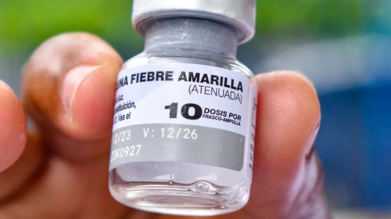 Alerta en Tolima por muertes de fiebre amarilla: en lo que va de este año ya van 10 fallecidos