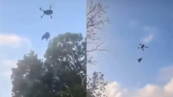 ¡Indignante! Jóvenes elevaron a un perro con un dron en un acto cruel e inhumano