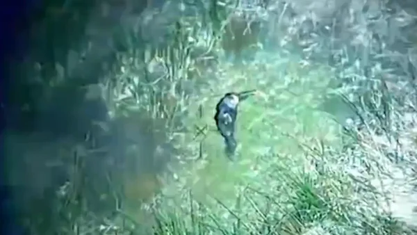 VIDEO | Hombre se robó una camioneta, la chocó y se lanzó a un caño