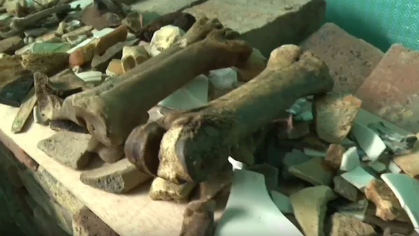 Hallan restos arqueológicos en las entrañas de lo que fue el temido Bronx, en Bogotá Hallan restos arqueológicos en las entrañas de lo que fue el temido Bronx, en Bogotá