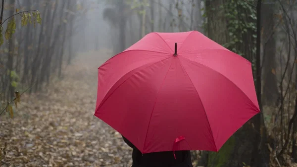 Alerta en Cundinamarca: estos son los municipios en riesgo por crecientes súbitas