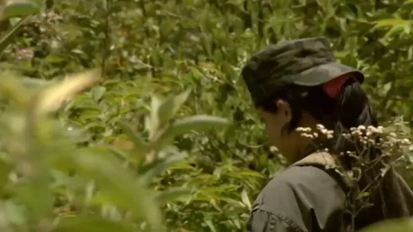 Cada 48 horas un niño es reclutado: así es como las disidencias los seducen por redes sociales