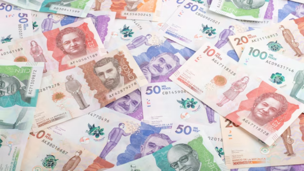 Denuncian presuntas irregularidades en contratación del alumbrado público en Cali: esto se sabe Denuncian presuntas irregularidades en contratación del alumbrado público en Cali: esto se sabe