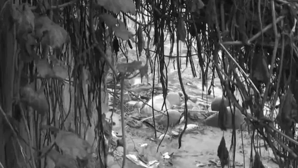 Se conocen nuevos detalles del asesinato del niño que había desaparecido en Usme