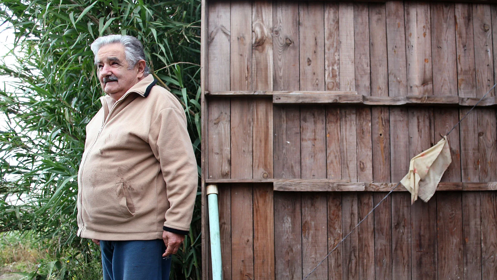 José Pepe Mujica