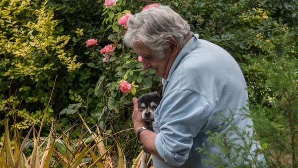 'Pepe' Mujica y su perrita Manuela: el emotivo deseo que busca trascender de la muerte
