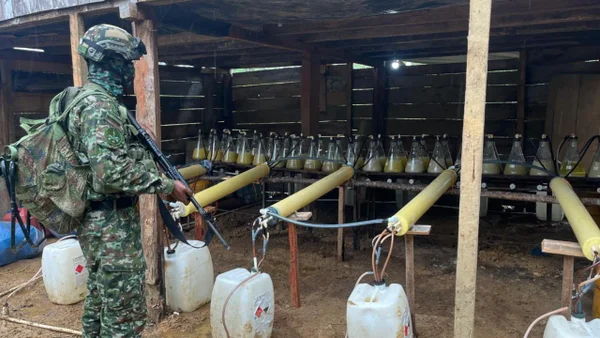 Ejército destruyó 10 laboratorios de cocaína de los 'Comandos de la Frontera' en Putumayo
