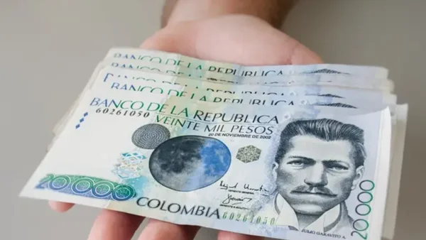 Dan a conocer los billetes más valiosos de Colombia: podrían costar hasta quinientos millones de pesos Dan a conocer los billetes más valiosos de Colombia: podrían costar hasta quinientos millones de pesos