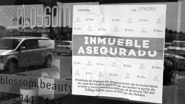 Influencers que han sido marcados para morir: serían víctimas del crimen organizado en México