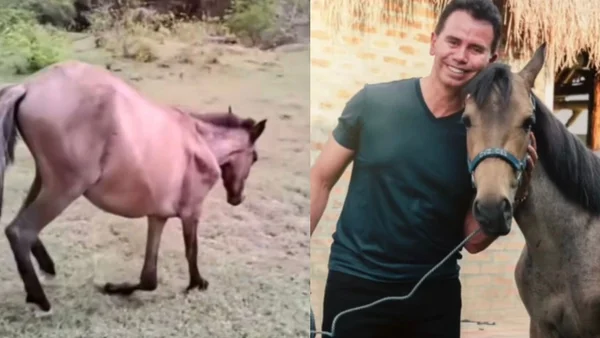 Jhonny Rivera rescata a un caballo en mal estado de salud: ¿cómo está ahora?