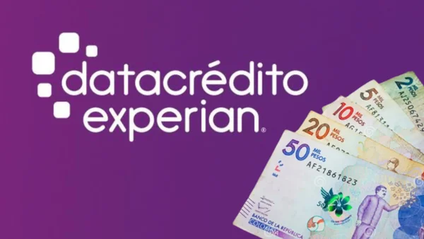 ¿Busca ayuda financiera? Datacrédito lanza nueva función con Inteligencia Artificial