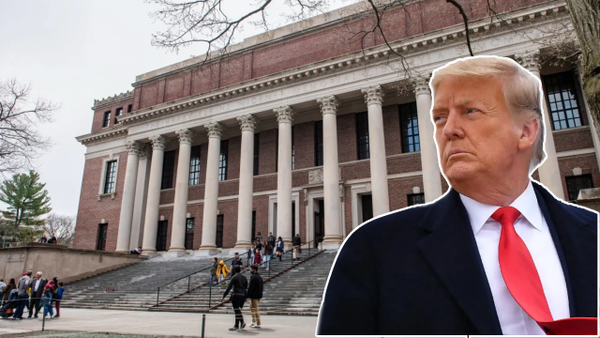 Harvard impuso queja al gobierno Trump tras la decisión de no aceptar más estudiantes extranjeros Harvard impuso queja al gobierno Trump tras la decisión de no aceptar más estudiantes extranjeros