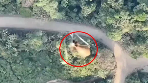 Mujer se salvó de morir tras ataque con dron en Tibú: el explosivo cayó sobre su vivienda