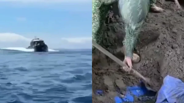 Autoridades incautan más de seis toneladas de cocaína avaluadas en 300 millones de dólares