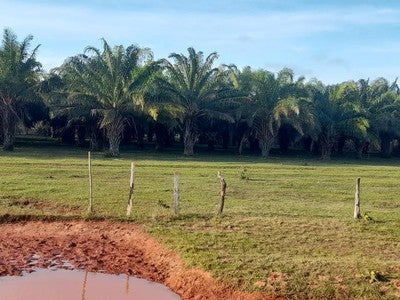 Inmueble en remate en Puerto Carreño