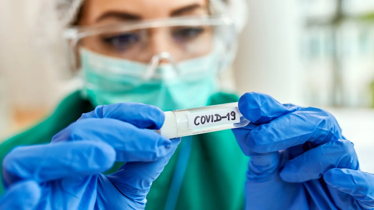 Is Hantavirus a New Global Threat Like COVID-19? The WHO Responded