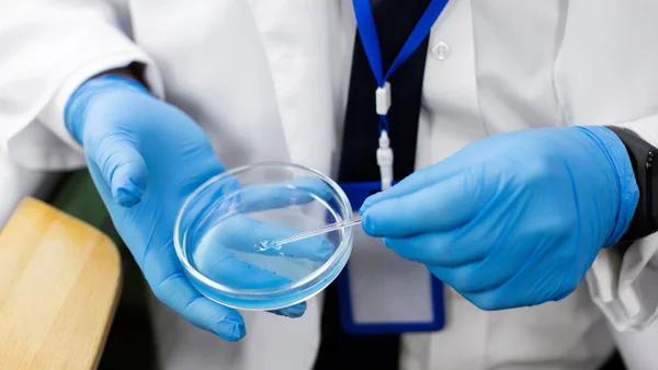 Científicos investigan potencial del ARN mensajero contra el cáncer y otras enfermedades Científicos investigan potencial del ARN mensajero contra el cáncer y otras enfermedades