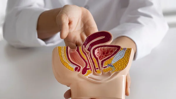 IA clasificaría a los pacientes aptos para recibir medicina contra el cáncer de próstata