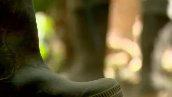 Secuestro masivo en Guaviare: Defensoría confirma que campesinos están en poder de un grupo armado Secuestro masivo en Guaviare: Defensoría confirma que campesinos están en poder de un grupo armado