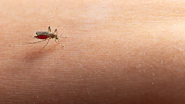 Alerta en Santander: confirman dos muertes por dengue y más de 5.800 casos