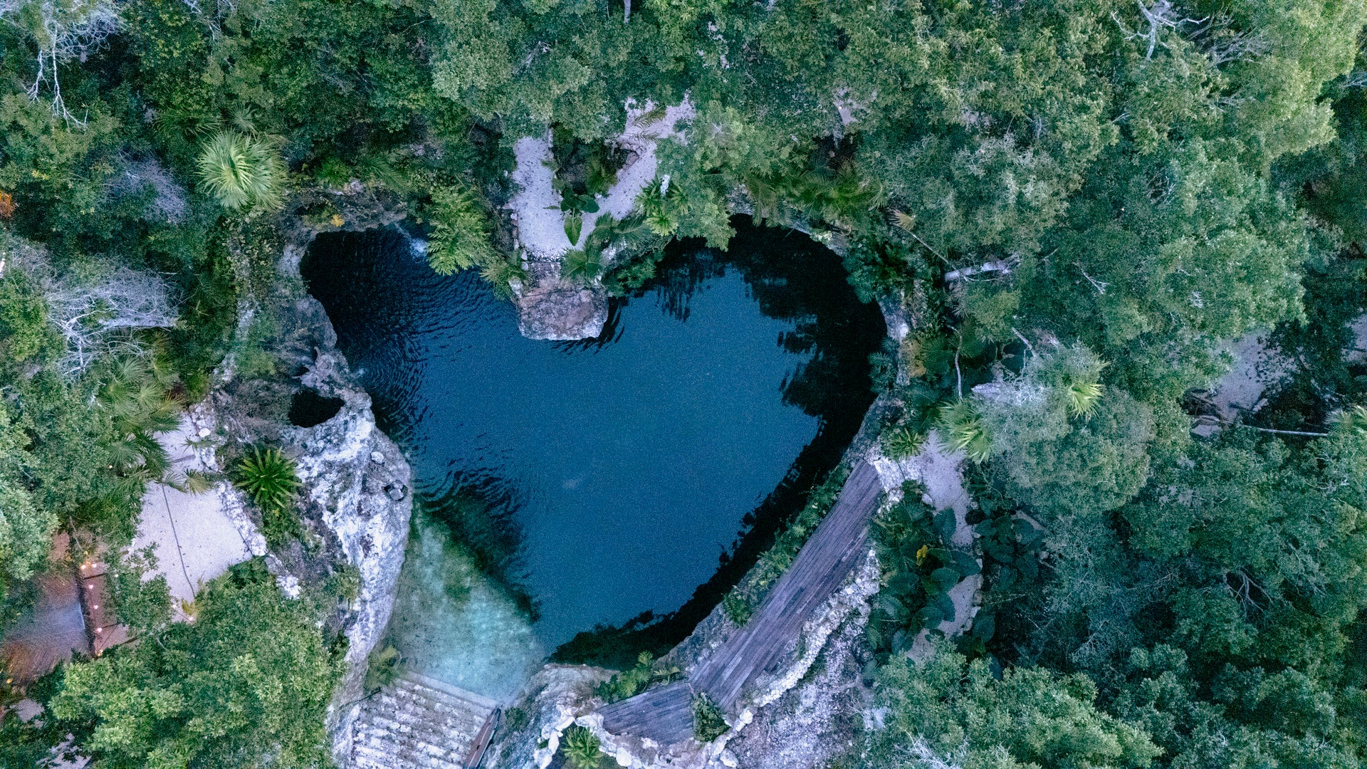 “Somos Selva”: Johnnie Walker Blue Label