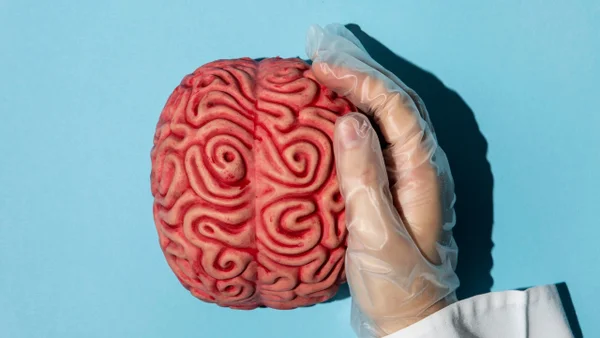 Investigadores relacionan snacks de proteína con mayores riesgos de accidentes cerebrovasculares